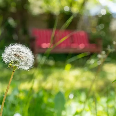 Eck Gartenzeit